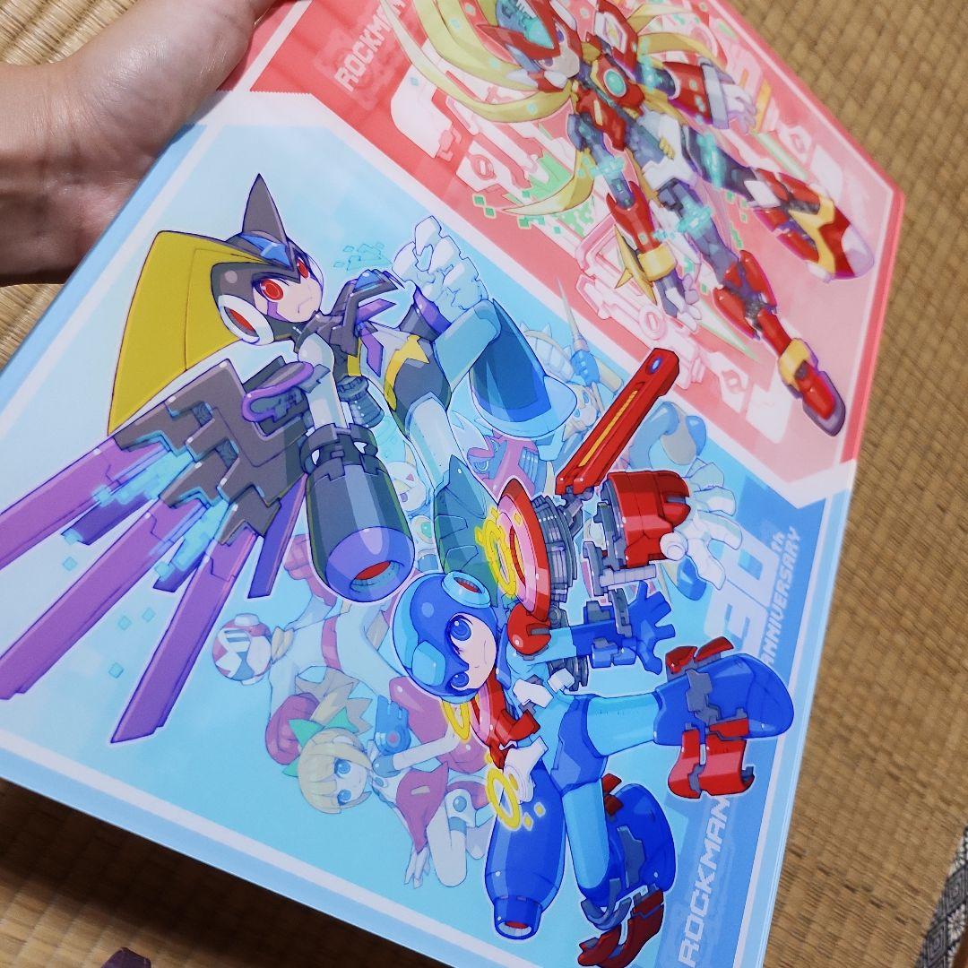 ロックマン30周年記念 ロックマンゼロアクリルアート 中山徹 - メルカリ