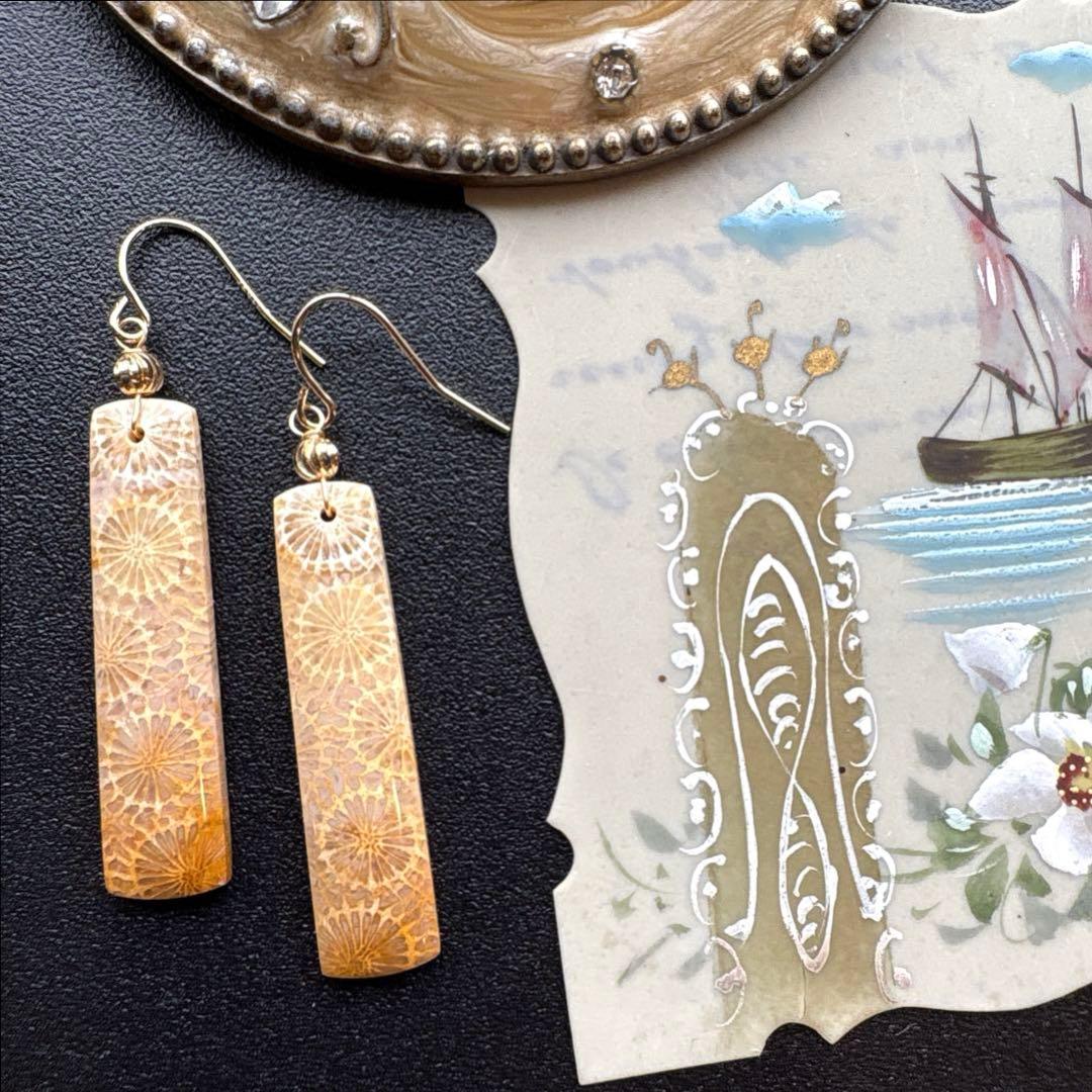 《のほほん様》フォッシルコーラルレクタングル&アイアゲート＊ピアスorイヤリング
