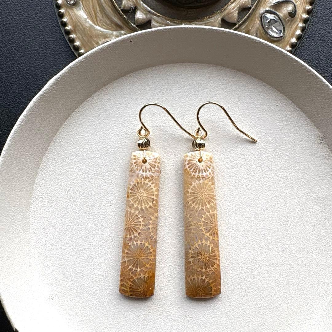 《のほほん様》フォッシルコーラルレクタングル&アイアゲート＊ピアスorイヤリング