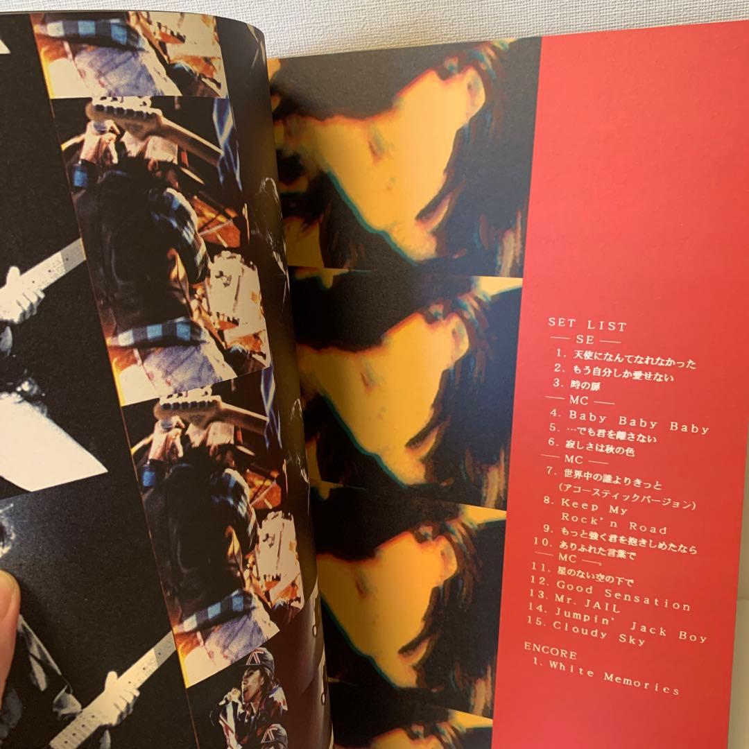 WANDS “LIVE－JUNK