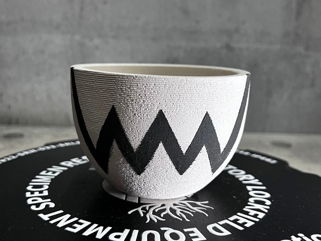 手作植木鉢 Mサイズ 検（ 塊根植物 グラキリス パキプス アガベ)