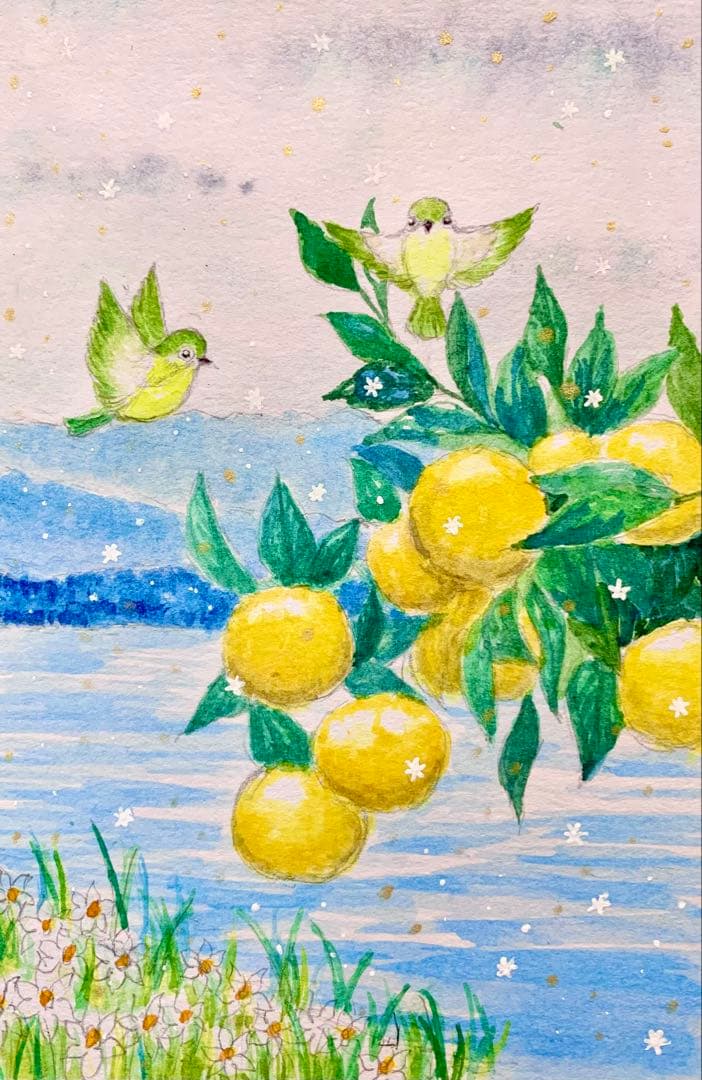 momorin水彩画 柚子とめじろ 値段は※900円です