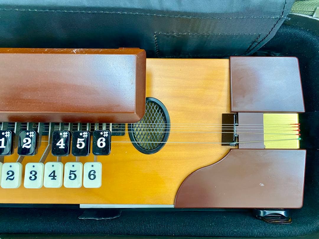 鈴木楽器〝紅葉〟大正琴 ハードケース付