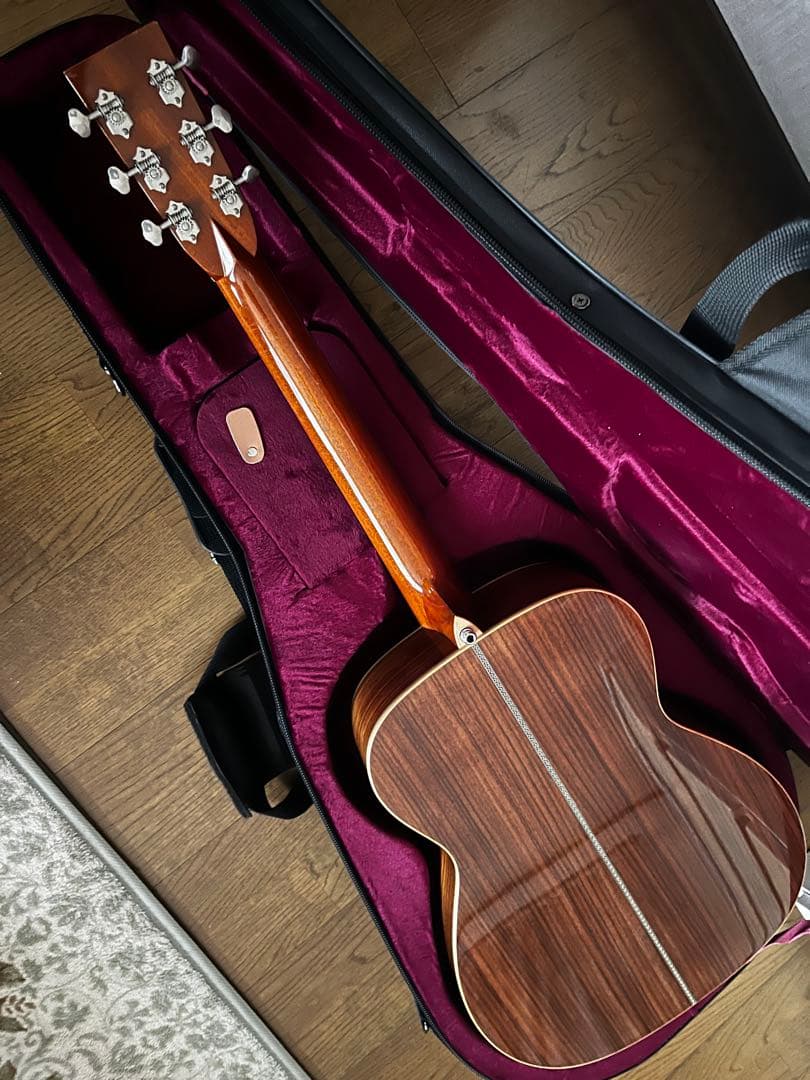 ASTURIAS EC HERRINGBONE L.R.Baggs / M1