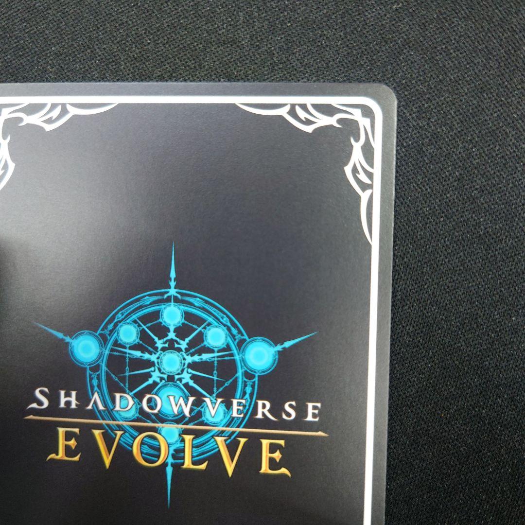 シャドウバースエボルヴ ヒシミラクル SSP サイン ウマ娘 - メルカリ