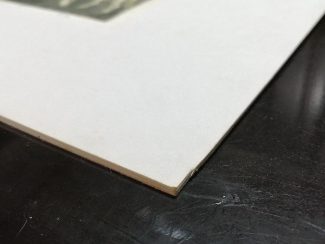 木精の宴　沢田憲良