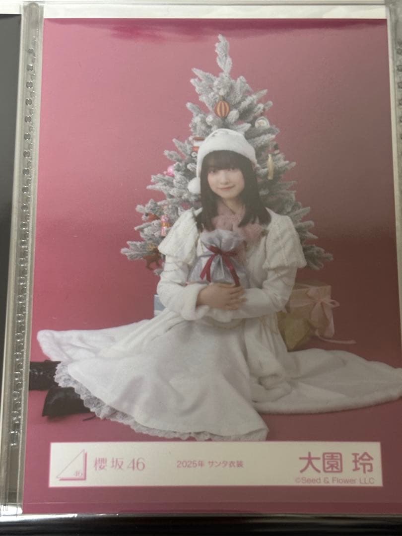 櫻坂46 生写真 大園玲 2025年サンタ衣装 スワリ - メルカリ