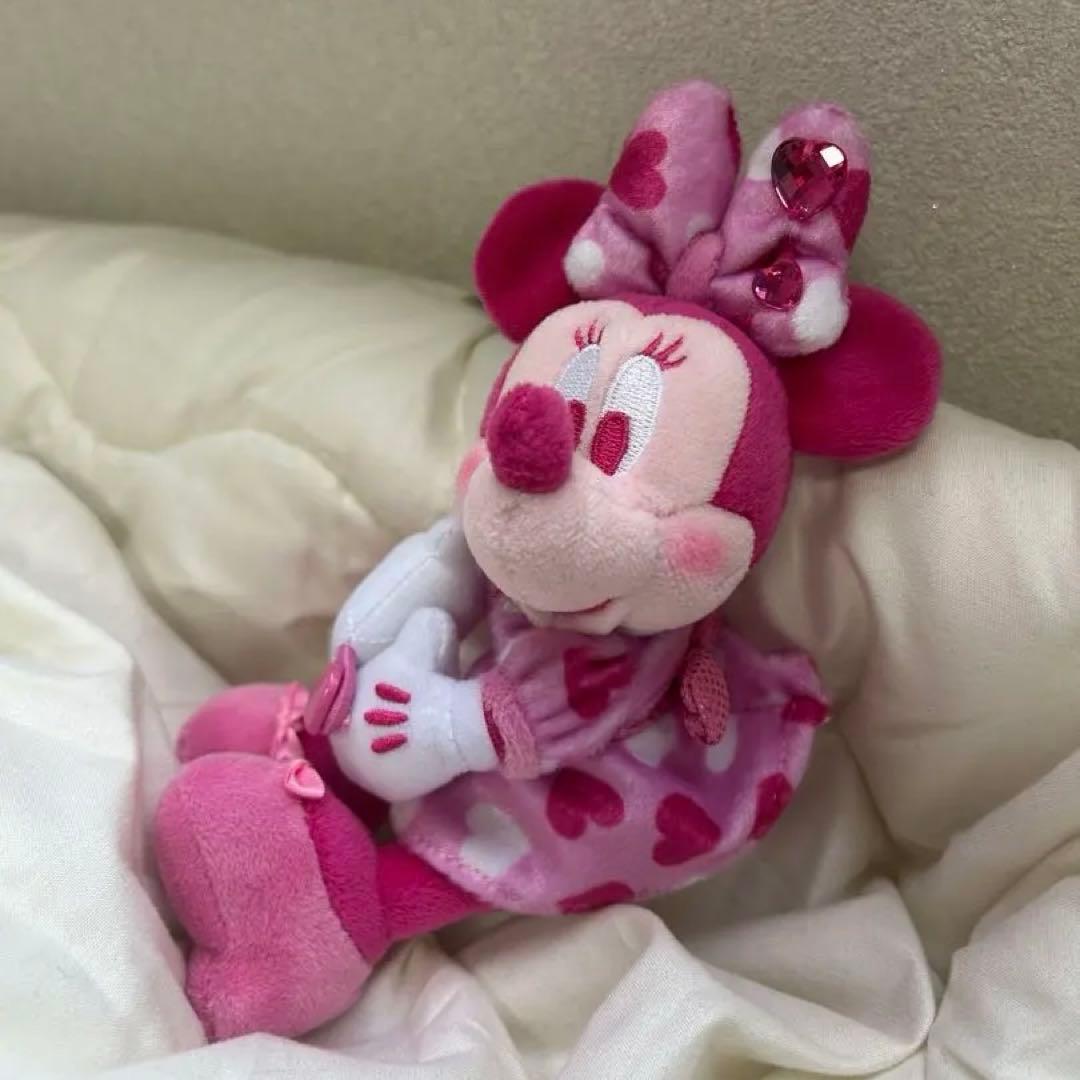 ディズニー ミニパル 5点セットトートバッグ カチューシャ