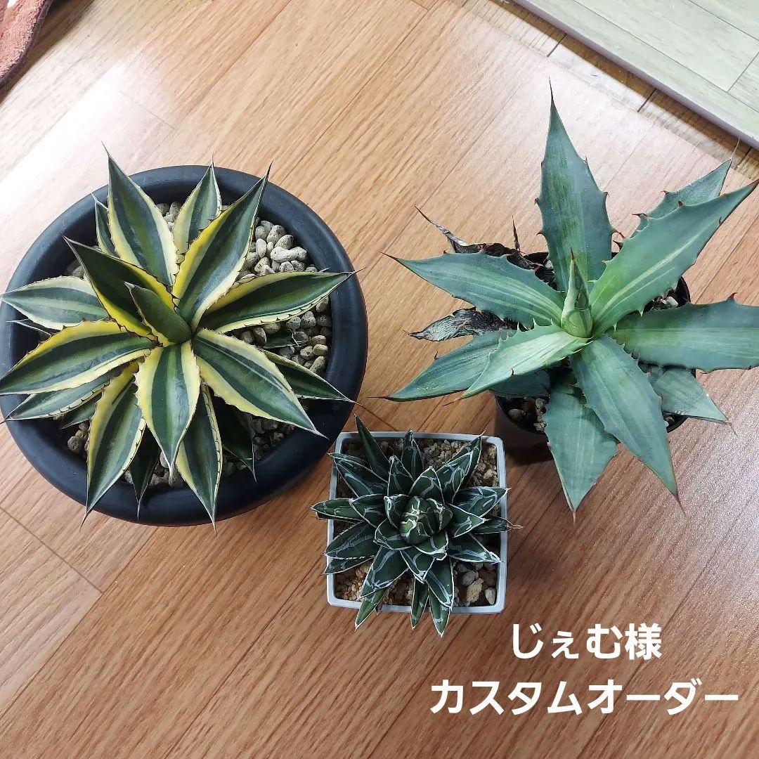 じぇむ様　カスタムオーダー　同梱割引適用済み M'z SPEED 新車カスタムコンプリートカー | SUZUKI JIMNY LUV LINE