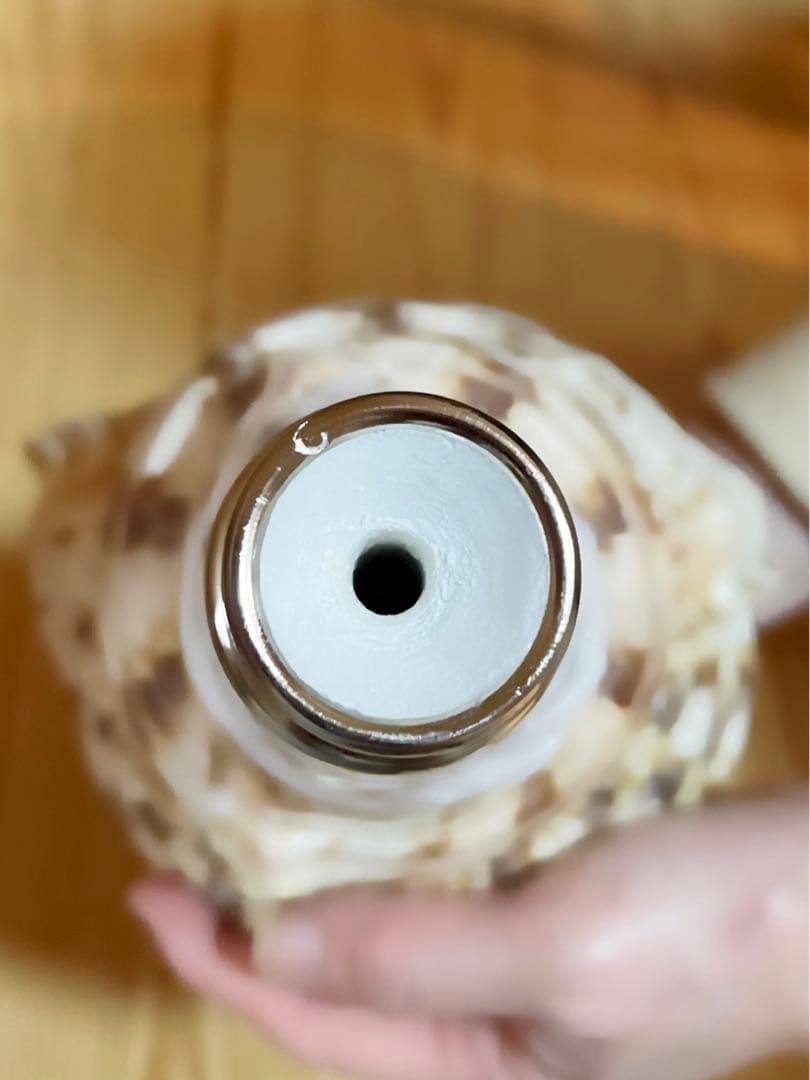 修験道法螺貝 山伏 密教 魔除け 熊よけ❣️ホラガイ ほら貝 L108288728