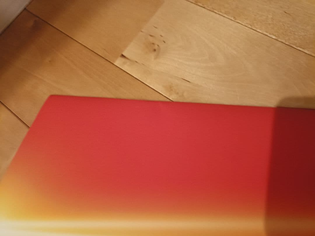 た*ち様 S.H.Figuarts マイケルジャクソン フィギュア　パンフレット