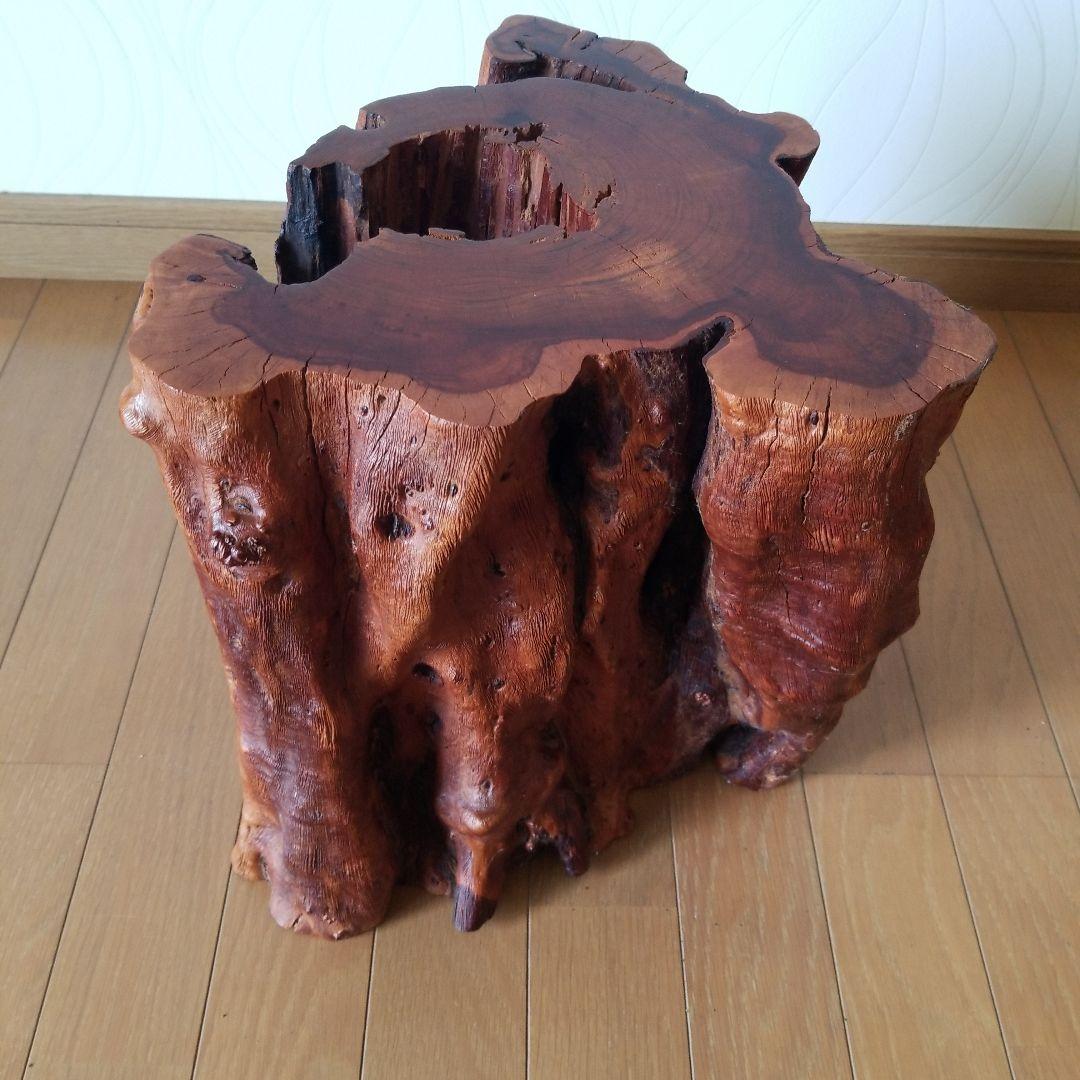 オブジェ置物　アート《ユーカリの古木》稀少！》