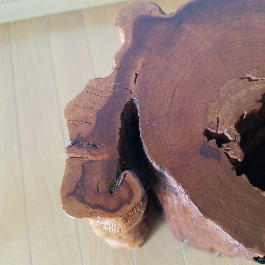 オブジェ置物　アート《ユーカリの古木》稀少！》