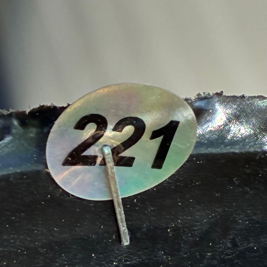 G*u様 ❤️根パンパン❤️6号❤️沢山新芽❤️221 ⭐️希少⭐️【マリア×ネ