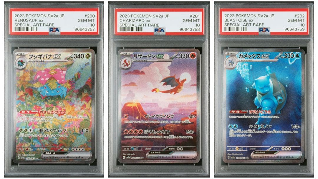 フシギバナ リザードン カメックス 151 御三家sar psa10 3連番