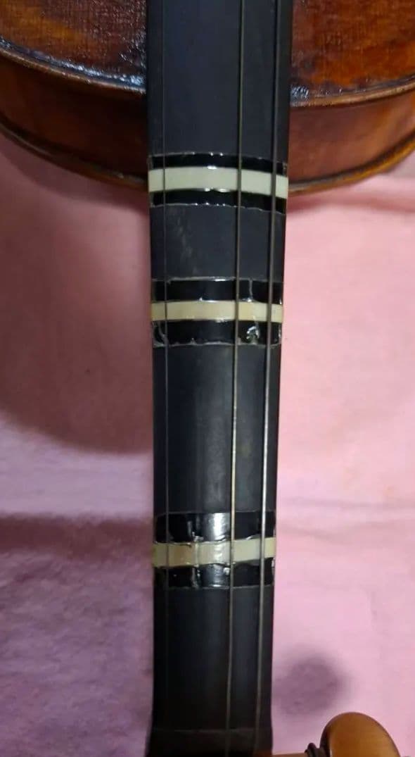 エンリスク チェルティー 裏板のみ制作)のバイオリン