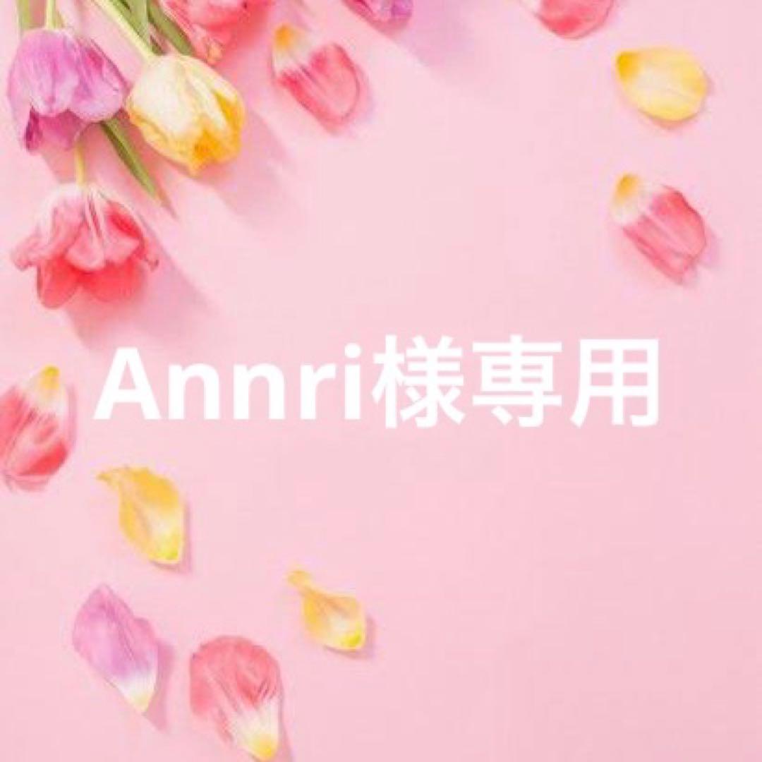 フラワー・リース Annri ナチュラルリース M 通販 リース 造花 お花 フラワーアレンジメント