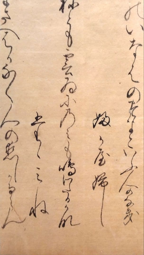 古今和歌集】古筆切 室町時代 凡河内躬恒・壬生忠岑の和歌 （茶道古