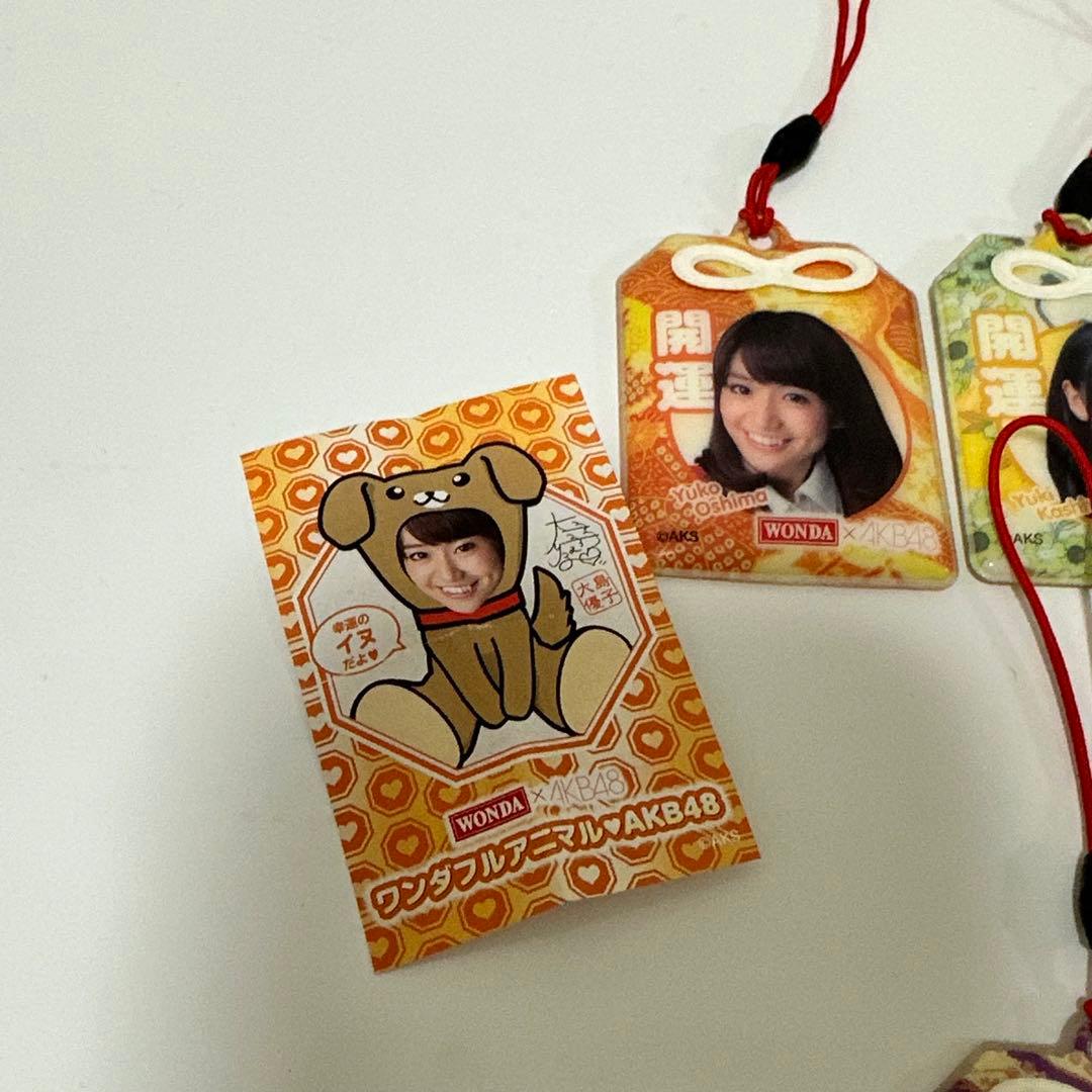 WANDA × AKB48 お守り キーホルダー ワンダフルアニマル - メルカリ