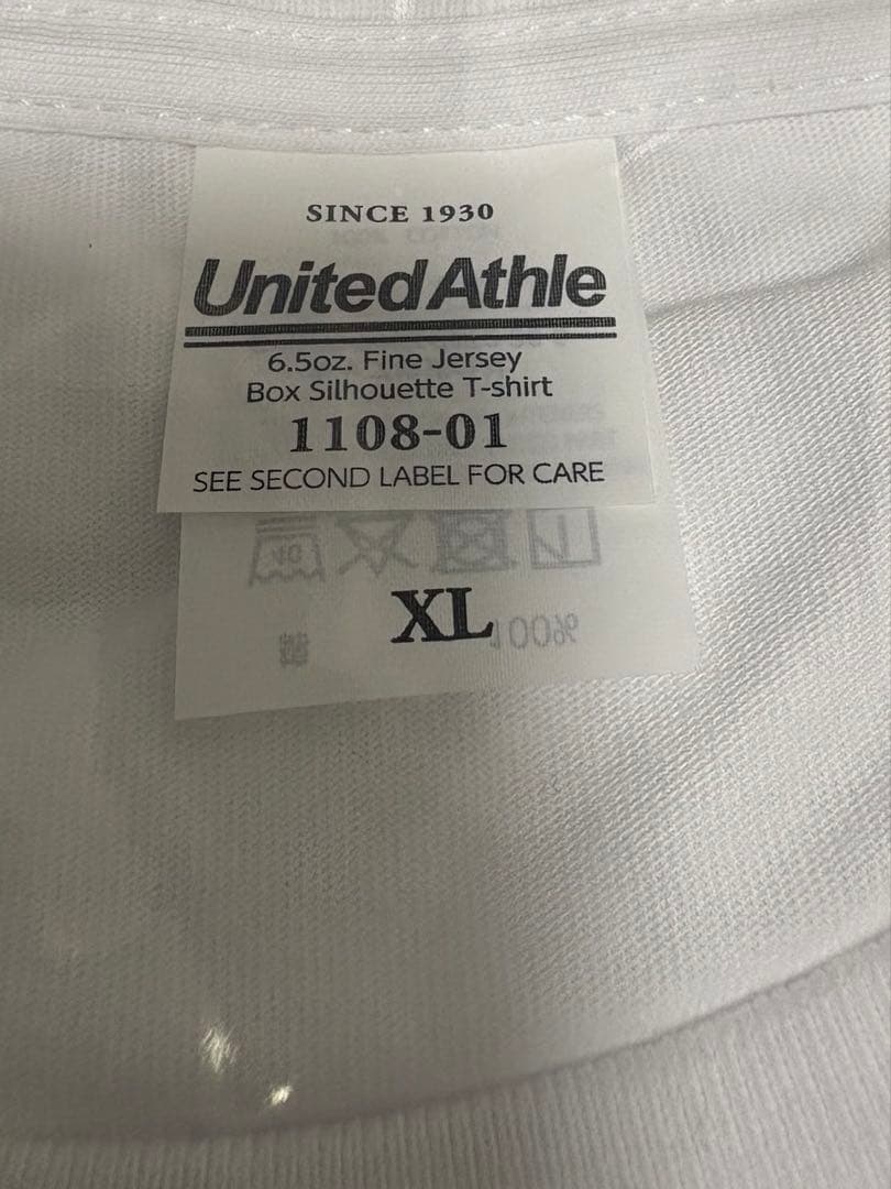 電気グルーヴ スチャダラパー Tシャツ XLサイズ チャンピオンカーニバル