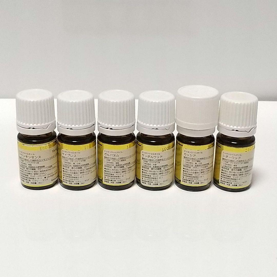 ☆聖書の中の12のオイル ☆ ヤングリビング ヤングリヴィング - メルカリ