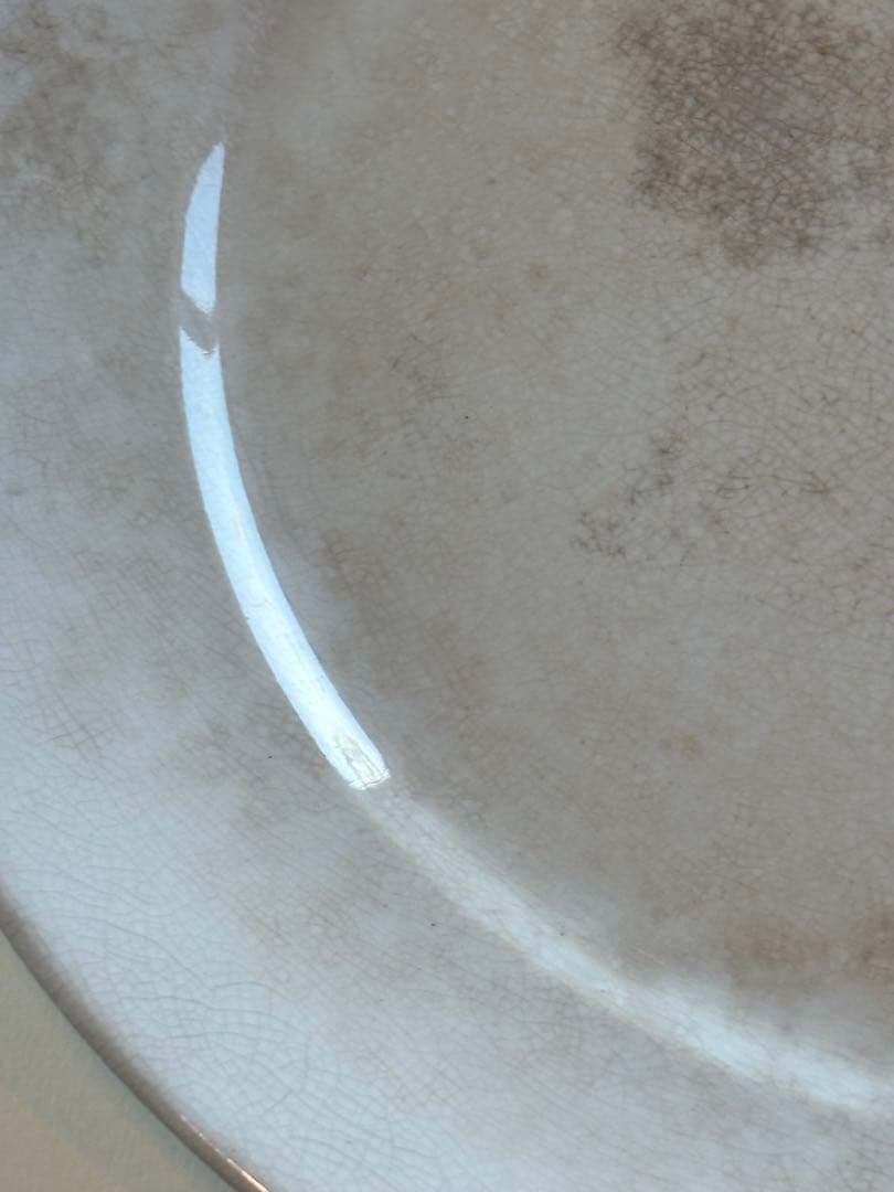 フランスアンティーク サーギュミヌ窯 美しい白いお皿-A 22.5cm