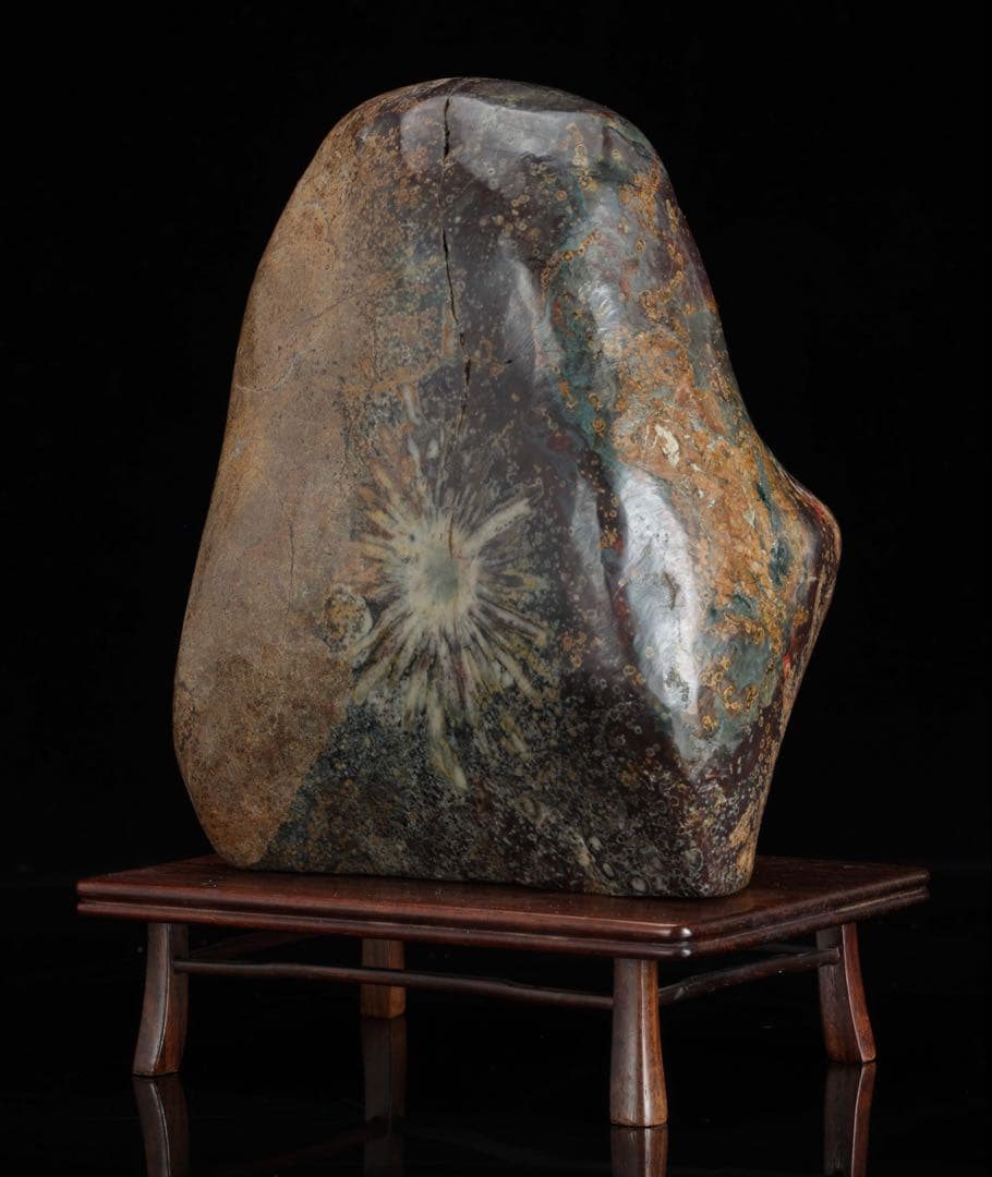 菊花石 白菊 紋石 台座付 1.4kg 鑑賞石 原石 天然石 水石 盆石 鉱物