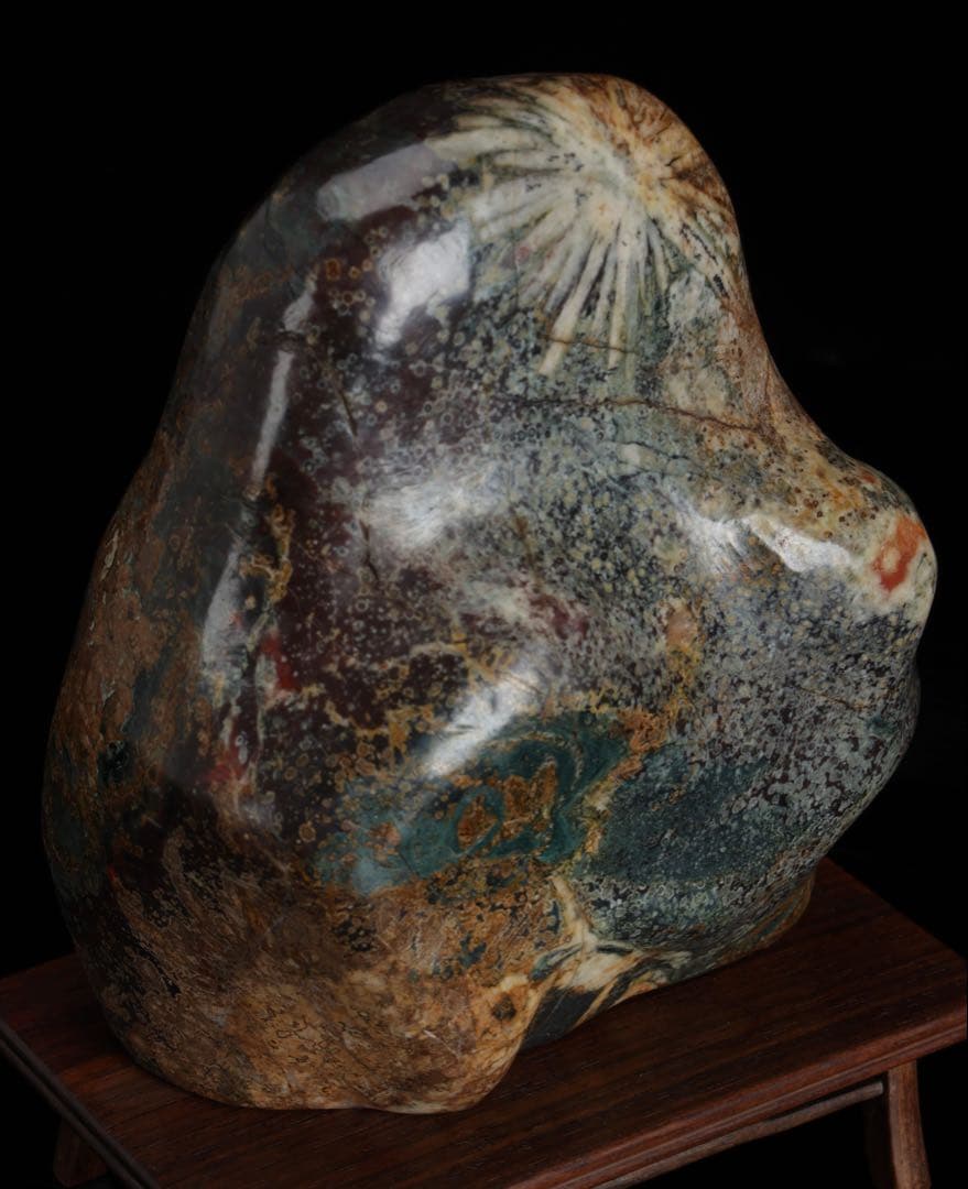 菊花石 白菊 紋石 台座付 1.4kg 鑑賞石 原石 天然石 水石 盆石 鉱物