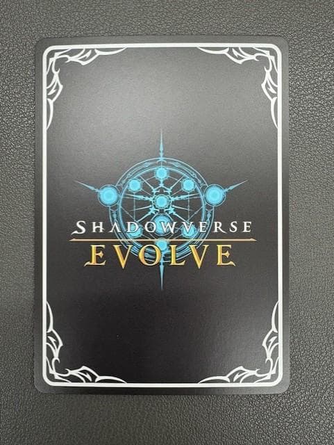 揺蕩う意志・スピネ　SP