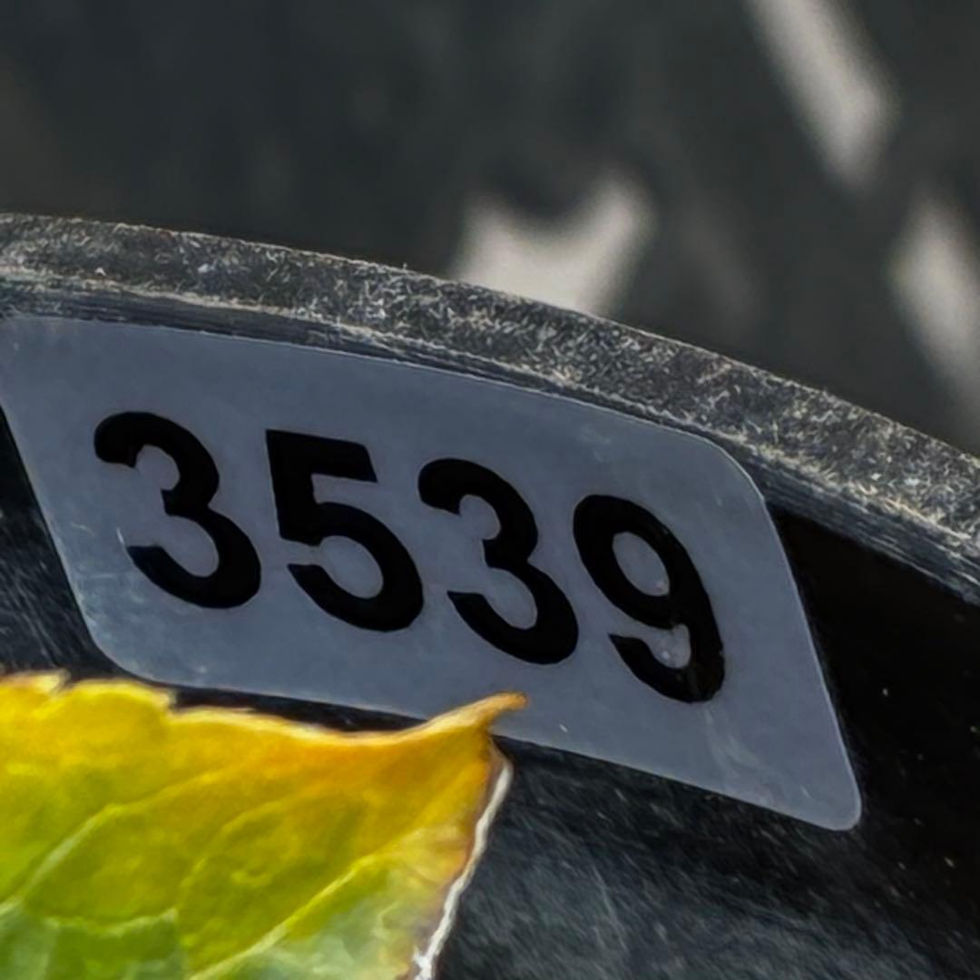 ˙*⋆様 3539☘️蕾花タグ付☘️蜃気楼交配⭐️特殊発色⭐️小輪⭐️オーレア⭐