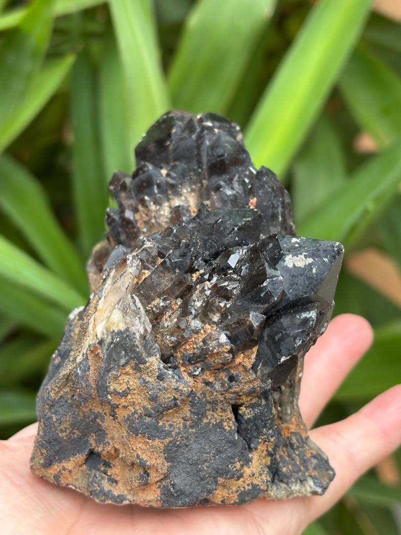 モリオン 黒水晶 キャンドルクォーツ クラスター 893g 姿が美しい