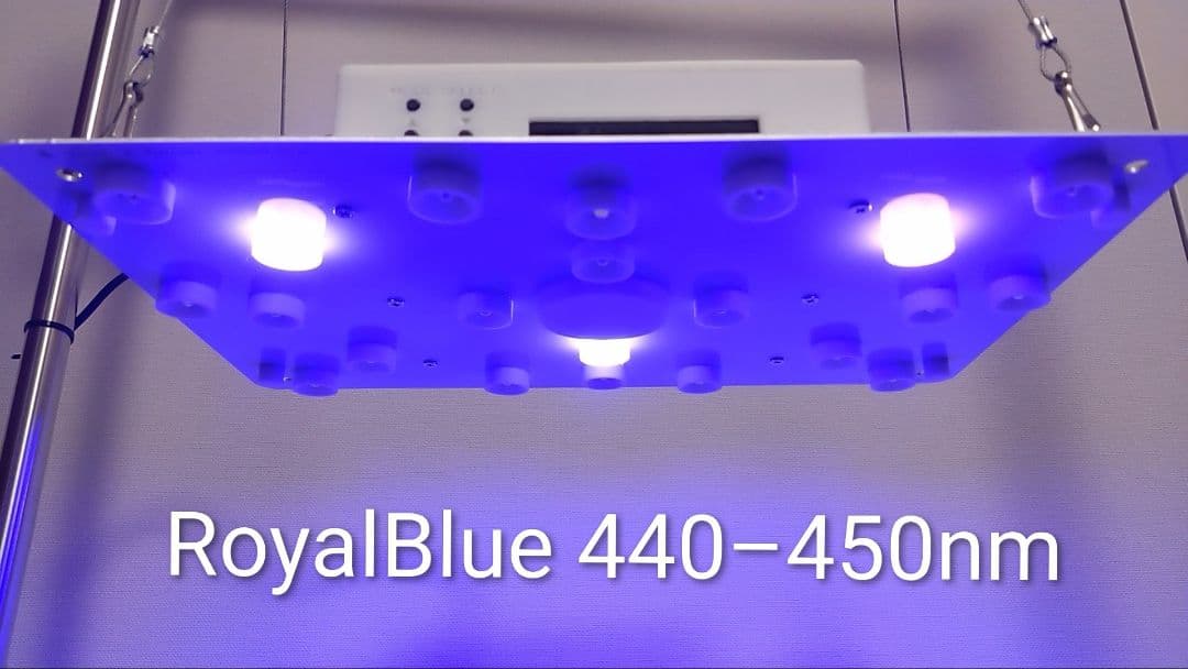 L7B】多肉&塊根育成 水槽照明 タイマー付LEDライト（DC専用）