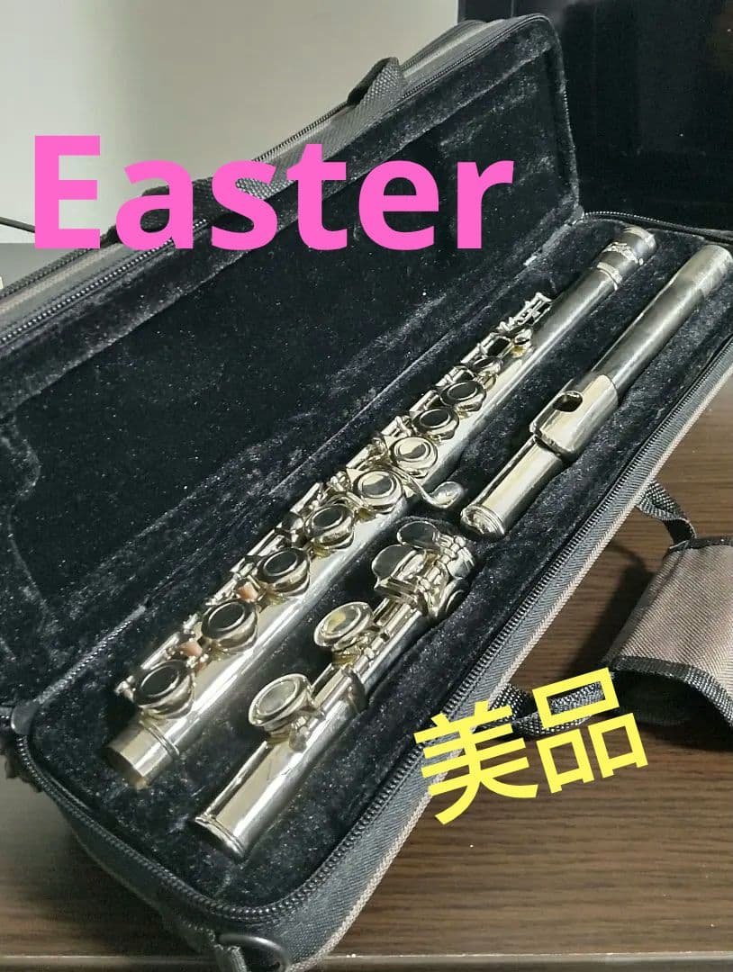 Easter フルート ケース・付属品多数 初心者 入門 管楽器 Easter フルート ケース・付属品多数 初心者 入門 管楽器 - メルカリ