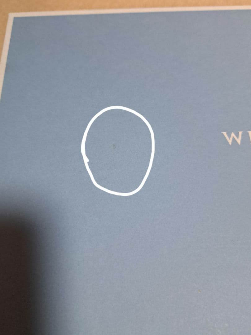 ウェッジウッド インタグリオマグカップ プラチナダイヤディッシュ