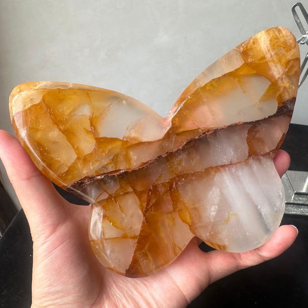 天然石マニカラン共生の蝶々 置物 彫物NO.032826 - メルカリ