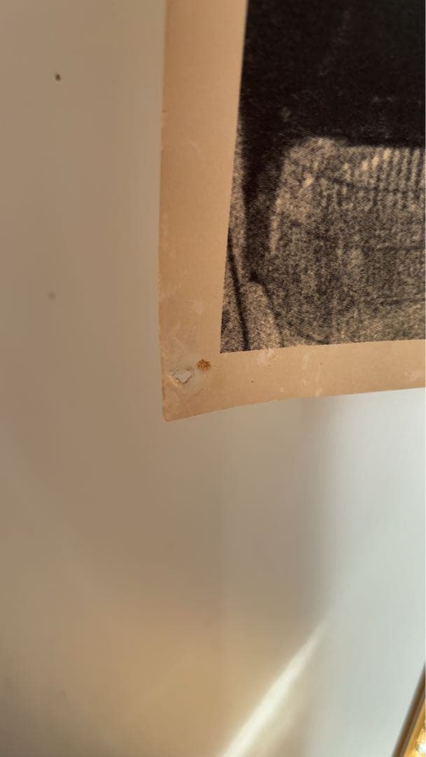 緊急値下】レア非売品ブラッド・ピットモノクロHONDAインテグラ