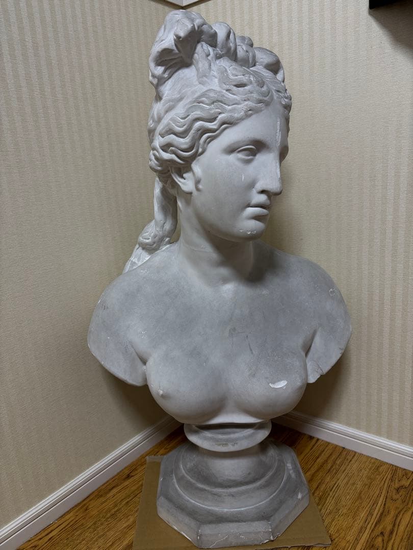石膏像　カピトリーノのヴィーナス胸像(カッパ)　大型 石膏像 カピトリーノのヴィーナス胸像(カッパ) 大型 - メルカリ