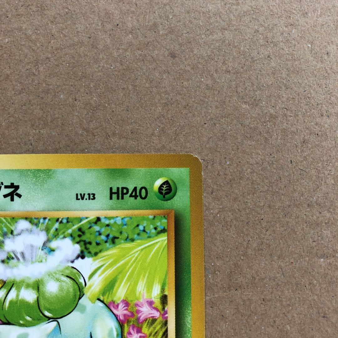 ポケモンカード フシギダネ 旧裏 初版 マークなし - メルカリ