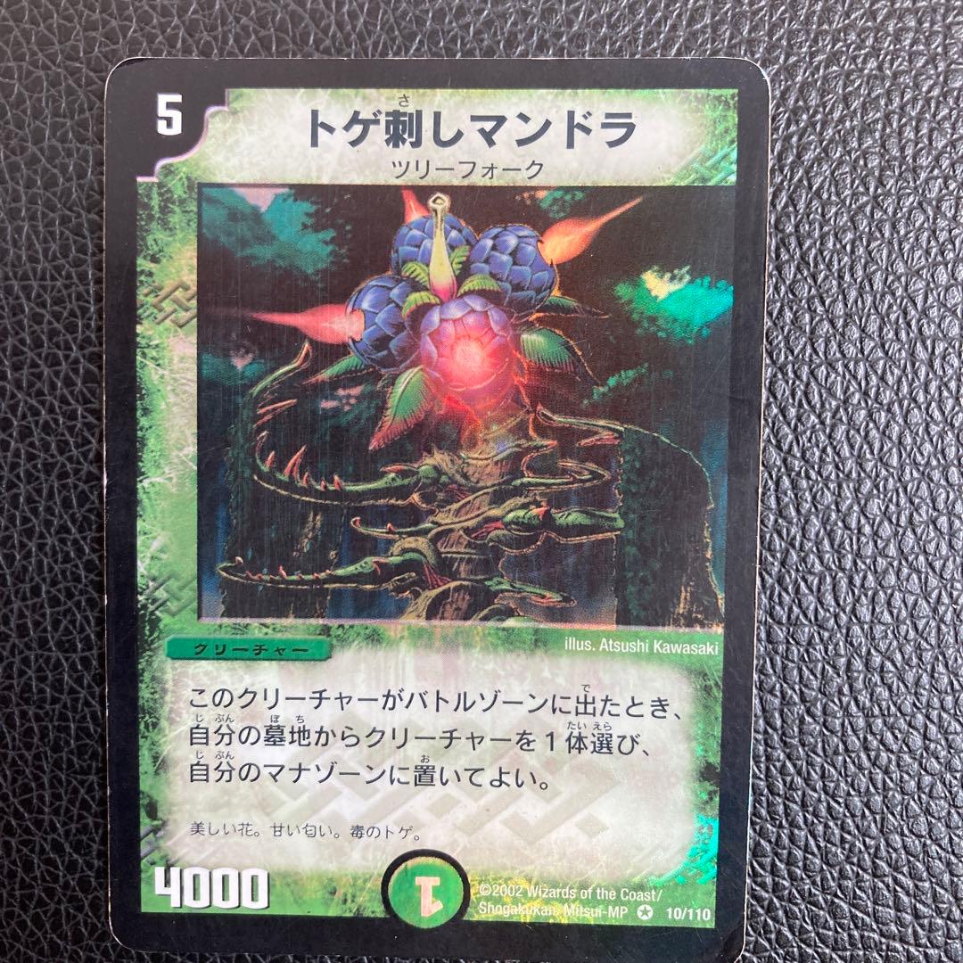 トゲ刺しマンドラ 初期 - メルカリ