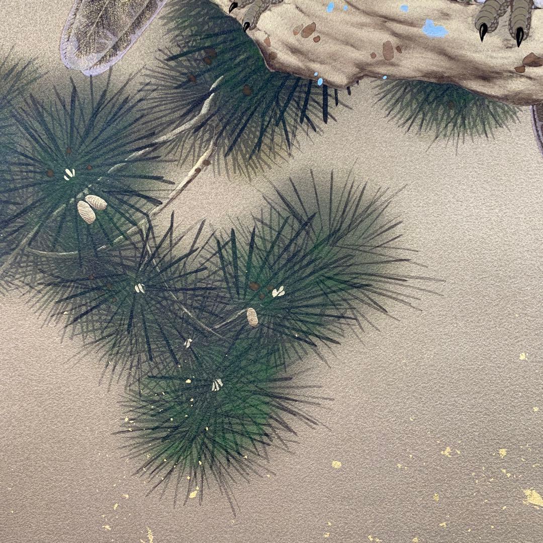 美品 掛け軸 広森耕仁作 夫婦梟図 共箱 太巻き付 美術年鑑掲載作家