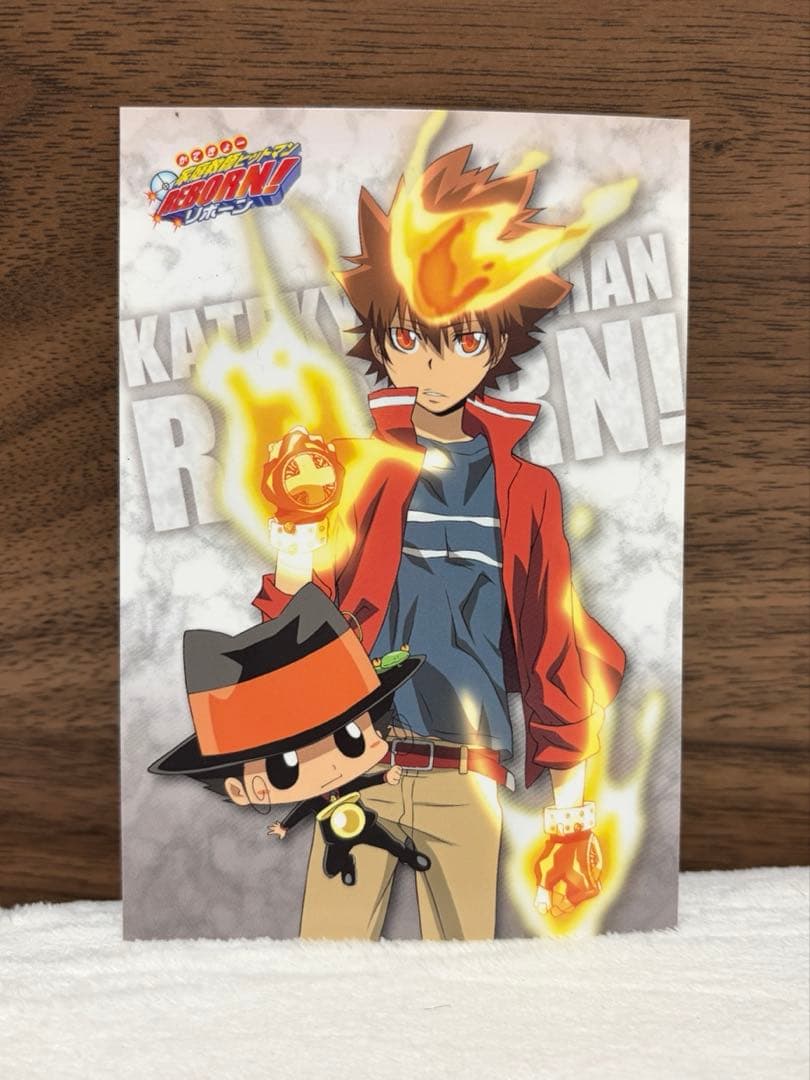 家庭教師ヒットマンREBORN! ブロマイド 沢田綱吉 六道骸 守護者 - メルカリ