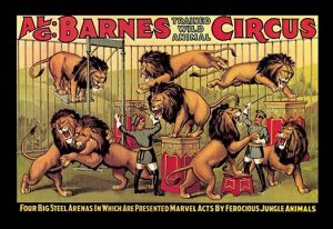 art circus