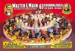 Sixty-Three Performing Horses in One Ring: Walter L. Main Shows(20" x 30") Canvas Wall Art