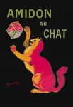 Amidon au Chat