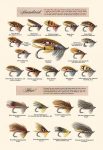Fly-Fishing Lures: Standard and Hair
