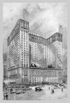 "The Commodore, 1911"