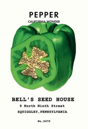 Pepper: California Wonder(20" x 30") Canvas Wall Art