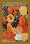 Hardy Northern Grown Fruits