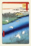 Cranes on the River