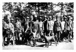 The Dogs of War